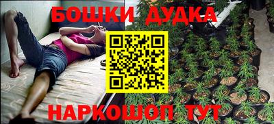 Альфа ПВП Новозыбков