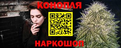 Альфа ПВП Новозыбков